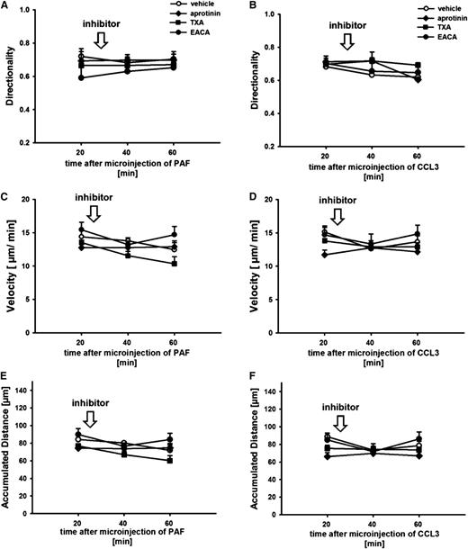 Figure 4. Effect of serine protease inhibitors on leukocyte interstitial migration behavior. Leukocyte interstitial migration behavior was analyzed after perivenular microinjection of PAF or CCL3 as detailed in the “Methods” section. Panels show results for directionality (A, B), velocity (C, D), and accumulated distance (E, F) of interstitially migrating leukocytes in animals treated with the serine protease inhibitors aprotinin, TXA, EACA, or vehicle (mean ± SEM for n = 4 per group).