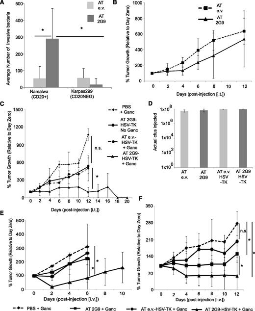 Figure 5. Human xenograft treatment via 2G9-Salmonella bearing the HSV-TK enzyme. (A) Intracellular 2G9-Salmonella and empty vector-Salmonella measured 24 hours after intratumoral injection into mice bearing both CD20+ and CD20− Karpas299 tumors. (B) Tracking of acute-phase tumor growth after a single intratumoral injection of the indicated bacteria into mice bearing both CD20+ Namalwa and CD20− Karpas299 tumors (n = 8 mice per group). (C) Tracking of long-term Namalwa tumor growth coincident with the intratumoral administration of 2G9-AT-Salmonella (with or without HSV-TK), empty vector-Salmonella-HSV-TK, or PBS into mice bearing CD20+ Namalwa tumors, along with the intraperitoneal administration (twice daily) of either ganciclovir (100 mg/kg/day) or PBS. All data shown are taken from single experiments, which were representative of at least 2 separate experiments yielding similar results. (D) Actual cfus injected as determined after injection by limiting dilution assay of the injected bacterial solution, corresponding to the data presented in (C). (E) Tracking of Namalwa tumor growth after intravenous injection of 2G9-AT-HSV-TK (n = 7), 2G9-AT (n = 4), empty vector-AT-HSV-TK (n = 5), or PBS (n = 4) bacterial strains, along with intraperitoneal administration of ganciclovir. (F) Tracking of murine CD20+MCA203 fibrosarcoma tumors after intravenous administration following the same schedules or groupings as indicated in (E).