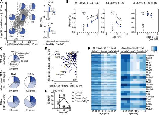 Figure 2. Peritransplant administration of Fgf7 sustains a more diverse TRA transcriptome in mTEChigh during aGVHD. Acute GVHD (b→bd) was induced in 8-week-old unconditioned recipient BDF1 mice as in Figure 1A. Global gene expression was analyzed in entire residual mTEChigh cell pools isolated from individual recipients at 10, 12, and 15 weeks of age (ie, 2, 4, and 7 weeks after transplantation). The figure reflects data from 5 independent experiments, with 2 to 4 mice per group and experiment. (A) Left panel: gene expression profiling of mTEChigh in transplant recipients using Mouse Gene 1.0 ST arrays (Affymetrix). The x- and y-axes represent relative expression of individual genes (given as log2 values of signal intensity ratios, S.I.) in mice with aGVHD (b→bd) vs syngeneically transplanted recipients without disease (bd→bd). Data were plotted as a function of recipient age (10 vs 12 weeks). Genes whose expression levels were enhanced or decreased more than threefold relative to the control group (corresponding to relative expression values given by the S.I. ratios of <0.33 and >3.0, respectively, or <−1.6 and >+1.6 on the log2 scale) were considered to be significantly altered in consequence of aGVHD (threshold is indicated by dashed lines). Q2 is the lower left quadrant, denoting genes whose expression levels were depressed at both 2 and 4 weeks after allo-HSCT (10- and 12-week-old recipients). The inserted numbers denote the absolute numbers of genes in the respective quadrants. Transcripts from a total of 21 759 genes were analyzed. An annotated list of the genes most affected by aGVHD is given in supplemental Table 1. Ub (ubiquitously expressed genes, gray squares) and TRA (dark blue squares). (Right panel) O/E performance analysis (O, observed number of events; E, expected number of events) of the presence of TRA vs Ub among the genes with relative expression <0.33 and >0.3. O/E ratio >1.0 for TRA and <1.0 for Ub; *P < .001 using hypergeometric statistical analysis. A value of O/E = 1.0 represents a distribution among TRA and Ub according to expectations (that is sequestration according to the relative frequencies of TRA and Ub in adult mice without disease). (B) The linear relationship between 2 experimental groups was tested for Ub and TRA using a correlation matrix, as detailed in supplemental Figure 3. The variation of each gene was calculated using the interquartile range, a measure of statistical dispersion. Pearson’s correlation coefficient r is shown as a function of age and time after transplantation. The asterisk (*) symbol indicates a statistical P value for the quality of each measured r at any given time point for TRA and Ub, respectively; *P < .001 of Pearson’s r. (C) Tissue representation of TRA repressed during aGVHD (<0.1 and <0.33 relative expression, respectively, vs mice without GVHD at 10 and 12 weeks of age). As control, a random set of 200 TRAs was used that remained unchanged in the course of GVHD (relative expression ∼1). Many repressed TRAs were specific for tissues of the gastrointestinal tract, skin, and eye. Changes in expression of these genes in response to Fgf7 are given in supplemental Figure 4. (D) Aire dependency of TRA repressed in mTEChigh during aGVHD in 10- and 12-week-old recipients (quadrant Q2; the axes are the same as in panel A). Examples shown are the following: Scgb1a1, secretoglobin; Csn1s2a, casein γ, Mup1, major urinary protein 1; Spt1, salivary protein 1 (see supplemental Table 1). Aire-dependent TRA (yellow circles), Aire-independent TRA (dark blue circles), and Ub (gray circles). (E) Analysis of TEC proliferation in response to Fgf7. Eight-week-old BDF1 mice were left untreated or were treated with Fgf7 from days −3 to +3 after allo-HSCT. All mice simultaneously received 0.8 mg/mL BrdU in their drinking water. mTECs were analyzed for BrdU incorporation at the indicated ages after transplantation. BrdU+ cells (%) ± SD, *P < .001, ANOVA, aGVHD vs mice without aGVHD. (F) Expression levels of individual genes expressed in mTEChigh is given in a heatmap as color-coded log2 value of signal intensities. (Left panel) The map was sorted according to relative expression of genes in mTEChigh (b→bd vs bd→bd mice; 12 weeks old) and contains all TRA with a relative expression of <0.3 during aGVHD in age-matched mice. Enhancement of TRA expression in response to Fgf7 was detectable by higher signal intensities of individual genes. (Right panel) Aire-dependent TRAs were sorted as listed before.