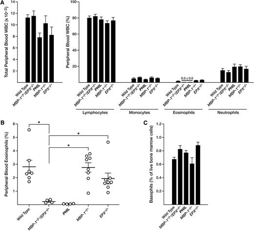 Figure 2. The loss of both MBP-1 and EPX gene expression in MBP-1−/−/EPX−/− mice leads to a peripheral blood eosinophil deficiency that is both definitive and specific. (A) Cell counts and hematologic cell differentials showed that MBP-1−/−/EPX−/− double knockout mice have an eosinophil deficiency (without effects on the composition of the other prominent leukocytes; mean ± standard error of the mean; n = 5 to 8 animals per group) that was equivalent to the deficiency observed in an engineered transgenic mouse model congenitally devoid of eosinophils (ie, PHIL mice). (B) Flow cytometric assessments of circulating WBCs derived from individual mice confirm that eosinophils are virtually absent in the blood of MBP-1−/−/EPX−/− mice, similar to PHIL mice, and are significantly lower than eosinophil numbers observed in either wild-type controls or MBP-1−/− or EPX−/− single knockout animals. (C) The loss of eosinophils in MBP-1−/−/EPX−/− mice had no effect on basophils. Flow cytometric analysis (supplemental Figure 2) of bone marrow–derived leukocytes demonstrated again that the loss of eosinophils in MBP-1−/−/EPX−/− mice, similar to PHIL mice, had no effect on basophil populations. *P < .05.