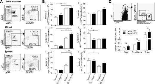 Figure 2. CX3CR1 reduced medullar Ly6Chigh monocyte release into the bloodstream. (A) Representative dot plots previously gated on CD11b+ cells indicate the gating strategy in the bone marrow, blood, and spleen for Ly6Chigh- and Ly6Clow-myeloid subsets based on CX3CR1 expression using CX3CR1gfp/+ mice. (B) Bars represent absolute number ± SEM of the 2 monocyte subsets before and 5 days after CP treatment in bone marrow, blood, and spleen of CX3CR1gfp/+ and CX3CR1gfp/gfp mice (n = at least 12 mice for each time point pooled from 5 independent experiments; a 1-way ANOVA with Bonferroni comparison post-test was performed). (C) Bone marrow cells from CX3CR1gfp/+ and CX3CR1gfp/gfp mice were harvested 5 days after CP treatment, labeled with CMTMR and Hoechst, respectively, and grafted into C57Bl6 recipient mice 2 days after CP treatment. The day after, bone marrow, blood, and spleen were harvested and the percent of transferred cells recovered was calculated for each organ and per mL of blood. Dot plots indicate the gating strategy of transferred cell recovery. Ctrl, control; D, day; NT, not treated; SSC, saline sodium citrate.
