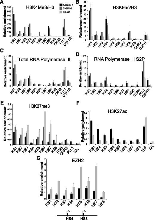 Figure 2. PAX5 is poised for transcription in non-t(8;21) myeloid precursors and is repressed by polycomb-repressive complexes. ChIP-qPCR experiments measuring relative enrichment of (A) H3K4me3, (B) H3K9ac, (C) total RNA Pol II, (D) elongating form of RNA Pol II, (E) H3K27me3, (F) H3K27ac, and (G) EZH2 at the PAX5 promoter hypersensitive sites. Relative enrichment is calculated over the inactive IVL locus in panels A, B, C, and D and relative to input in E and F and relative to TBP in panel G. Each bar graph is representative of at least 2 independent experiments analyzed in duplicate. The error bars represent variability in qPCR measurements.
