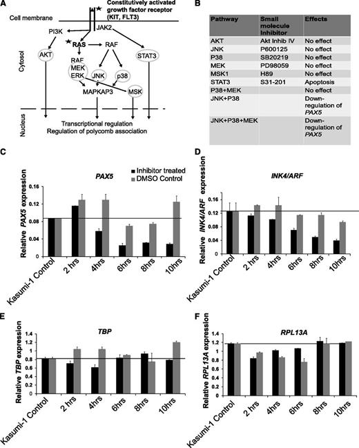 Figure 4. Aberrant signaling is required for PAX5 deregulation in t(8;21) AML. (A) Schematic diagram showing chronic AKT, JNK, JAK/STAT, and MAP kinase signaling in t(8;21) AML downstream of an activating mutation (indicated by a star) in a tyrosine kinase (growth factor) receptor or activated rat sarcoma (RAS) signaling. The circles indicate the signaling components targeted by small-molecule inhibitors. (B) Table listing the signaling components targeted, small-molecule inhibitors used, and the effect of the inhibitors on PAX5 expression in Kasumi-1 cells. For detailed data, see supplemental Figure 4A. (C-F) Quantitative reverse transcription PCR experiment measuring expression of PAX5, INK4/ARF, TBP, and RPL13A, respectively, after simultaneous treatment with JNK, MEK, and p38 inhibitors. Each bar graph is representative of 3 independent experiments. The error bars represent the variability in qPCR measurements.