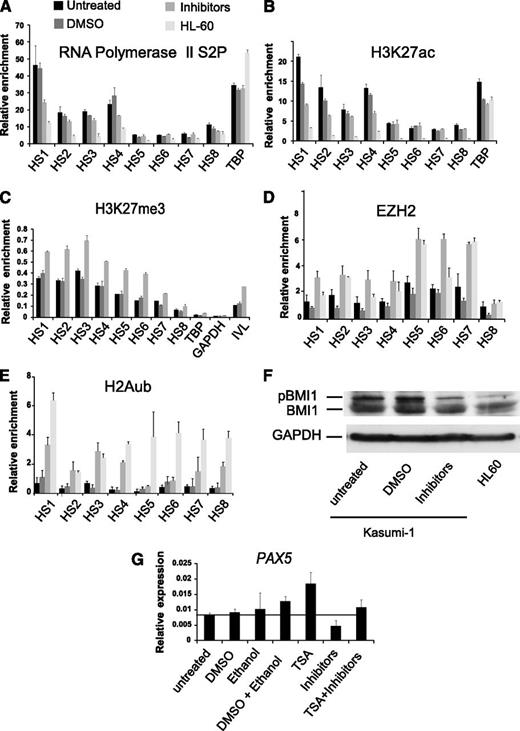 Figure 5. Inhibition of chronic signaling re-recruits polycomb to the PAX5 promoter. (A-E) ChIP-qPCR experiments measuring relative enrichment of the elongating form of the RNA Pol II complex as well as H3K27ac, H3K27me3, EZH2, and H2Aub1 at the PAX5 promoter hypersensitive sites in untreated Kasumi-1, DMSO-treated Kasumi-1, JNK, MEK, and p38 inhibitor-treated Kasumi-1 and HL-60 cells. (A,B) Relative enrichment shown is over the inactive IVL locus. (C-E) Enrichment is relative to (C) input, (D) TBP, and (E) Chr18. Each bar graph is a representative of 2 independent experiments and the error bars show variability between qPCR measurements. (F) Western blot showing BMI1 and phospho-BMI1 expression in untreated Kasumi-1, DMSO-treated Kasumi-1, JNK, MEK, and P38-treated Kasumi-1 cells and HL-60 cells. GAPDH expression in each of the above cell lines was used as a loading control. (G) The HDAC inhibitor TSA rescues the inhibition of signaling mediated downregulation of PAX5 expression. qRT-PCR experiment showing PAX5 expression in untreated, DMSO-treated, ethanol-treated, ethanol + DMSO treated, TSA-treated, JNK + MEK + P38 inhibitor–treated, and TSA + JNK + MEK + p38 inhibitor–treated Kasumi-1 cells. The y-axis shows PAX5 expression relative to GAPDH expression. The bar graph shows average values from 2 independent experiments measured in duplicate; error bars show the variability in qPCR measurements between the 2 experiments.