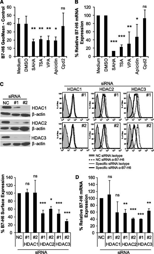 Figure 3. B7-H6 expression is reduced by inhibitors of class I HDACs and by HDAC2 or HDAC3 knockdown. HeLa cells were treated for 16 hours with the following HDACi: pan-HDACi SAHA and TSA, class I–specific VPA, and apicidin as well as HDAC8-specific Cpd2. DMSO was used as a solvent control for all inhibitors except for VPA, which was dissolved in water. (A) HeLa cells were stained with anti-B7-H6 mAb 1.18 or isotype control for flow cytometry. Dead cells were excluded by gating on 7-AAD− cells. The mean geometric mean ± standard deviation (SD) of at least 3 independent experiments is shown. (B) B7-H6 mRNA expression in treated HeLa cells was determined by qRT-PCR. The mean (% expression of B7-H6 relative to GAPDH) ± SD is shown for at least 2 independent experiments. The values from medium (control for VPA) and DMSO (control for the other inhibitors) were set as 100%, respectively. (C) HeLa cells were transfected with 2 different siRNAs (1 and 2) targeting HDAC1, HDAC2, or HDAC3 and a negative control (NC) siRNA. Knockdown was confirmed by western blot with β-actin staining as a loading control. Cropped blot images are shown. For flow cytometry, cells were stained with anti-B7-H6 mAb 1.18 or isotype control as in A. Representative histograms and the mean % B7-H6 surface expression compared with NC siRNA (set as 100%) ± SD of at least 2 experiments are shown. (D) B7-H6 mRNA expression in siRNA-transfected HeLa cells was determined by qRT-PCR. Mean (% expression of B7-H6 relative to GAPDH) compared with the NC siRNA (set as 100%) ± SD is shown from at least 2 experiments. ns, not significant; *P ≤ .05; **P ≤ .01; and ***P ≤ .001.