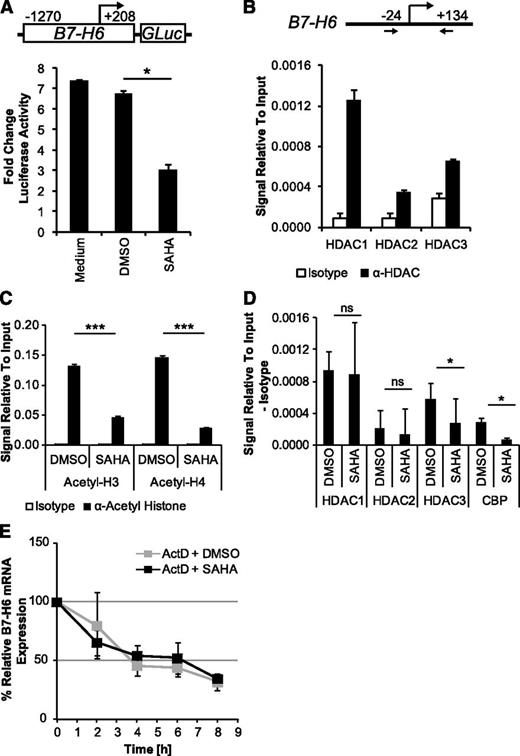 Figure 4. Downregulation of B7-H6 by HDACi is associated with reduced B7-H6 reporter activity and decreased histone acetylation. (A) HeLa cells were transfected with a luciferase (GLuc) reporter construct containing the B7-H6 5′-UTR (−1270 to +208, see insert) or a VC followed by DMSO/SAHA treatment. The mean (fold change luciferase activity relative to VC) ± standard deviation (SD) is shown for 1 representative experiment out of 2. The value obtained in the VC sample was set as 1. (B) ChIP assays were performed using chromatin from HeLa cells for IP with the indicated mAbs or isotype control. Binding of HDAC1-3 to a region including the transcription start site in the B7-H6 5′-UTR (see insert in B) was assessed. The mean (signal relative to the input) ± SD of duplicates from 1 experiment out of 4 is shown. (C) Acetylated histone H3 and H4 were analyzed by ChIP 16 hours after DMSO or SAHA treatment. The mean (signal relative to the input) ± SD of duplicates from 1 experiment out of 3 is shown. (D) The binding of HDAC1-3 and the HAT CBP was analyzed by ChIP after DMSO/SAHA treatment. The mean (signal relative to the input) was calculated as: (signal with indicated mAb) – (signal with isotype control); ± SD from at least 3 experiments is shown. (E) B7-H6 mRNA levels were determined after DMSO/SAHA treatment in the presence of actinomycin D (ActD). The mean (% expression of B7-H6 relative to GAPDH) ± SD is shown for each time point after ActD addition of 2 experiments. The value before ActD treatment was set as 100%. ns, not significant; *P ≤ .05; ***P ≤ .001.