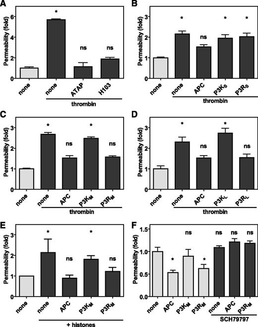Figure 5. The novel tethered ligand P3R peptide improves endothelial barrier functions. Endothelial barrier function in vitro was determined by the permeability of an endothelial cell layer to Evans blue-albumin complexes. (A) Contribution of PAR1 and PAR3 using the cleavage-blocking antibodies ATAP-2 (25 μg/mL) against PAR1 or H103 (25 μg/mL) against PAR3 to thrombin-induced endothelial permeability. (B-D) Modulation of thrombin-induced endothelial permeability by PAR3 peptides (50 μM) derived from cleavage at Lys38 (P3K) or Arg41 (P3R) of various lengths (supplemental Figure 4) compared with APC (20 nM). Shown are data for (B) short peptides (P3KS and P3RS) comprised of 6 amino acids, (C) medium-length peptides ending at Ser54 (P3KM and P3RM), and (D) long peptides ending at Thr65 (P3KL and P3RL). (E) Protection of endothelial barrier function by PAR3 peptides (50 μM) derived from cleavage at Lys38 (P3KM) or Arg41 (P3RM) against permeability induced by histones. (F) Modulation of endothelial barrier function of near confluent endothelial by PAR3 peptides (50 μM) derived from cleavage at Lys38 (P3KM) or Arg41 (P3RM) in the absence (gray bars) and presence (dark bars) of the PAR1 antagonist SCH79797. Data points represent the mean ± SEM (n ≥ 3 independent inserts). Asterisk denotes a statistically significant difference (P < .05).