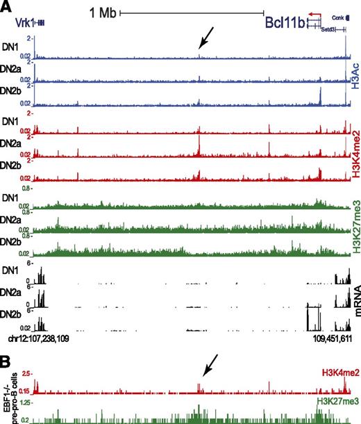 Figure 2. Histone modifications identify a far downstream Major Peak that shares with the Bcl11b promoter its patterns of histone marks. (A) Distinct epigenetic modification and gene expression patterns at the genomic region spanning Bcl11b and several downstream and upstream gene loci in T-cell precursors from DN1 to DN2b.9 Black arrow: Major Peak. The Major Peak displays similar dynamics of epigenetic modifications as Bcl11b. H3Ac: blue, H3K4me2: red, H3K27me3: green, RNA-seq: black. (y-axis units in RPM). (B) Epigenetic modification patterns at the same genomic region in EBF−/− pre-pro B cells.33
