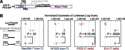 Figure 4. Major Peak drives T-cell specific expression of luciferase in stable transfection assays. (A) The PR3 sequence of Bcl11b promoter region and Major Peak were cloned into the pGL3-Basic vector. (B) pGL3-Basic, pGL3-Control (SV40-PR; SV40-En), PR3, PR3-MP constructs were stably transfected into Raw264.7, NFS25, P2C2, and EL4 cells with pTracer-Renilla luciferase construct. The firefly luciferase activities were normalized to Renilla luciferase activities. The Normalized Expression was calculated by designation of the geomean of pGL3-Basic as 1 unit. •, relative firefly luciferase activities normalized by Renilla luciferase activities. -, geomeans of the data points in the same sample. Data shown are from one experiment representative of 3.