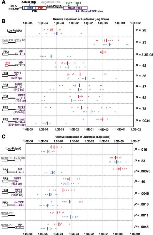Figure 5. TCF-1 binding sites are essential cis-regulatory elements for the activity of Major Peak. (A) The structural framework of constructs used in the stable transfection assays. Stars, mutated TCF sites in dmTCF construct; triangles, major peaks of TCF-1 binding as shown in Figure 6. (B) Constructs with PR1 or PR3 promoters and serial deletions of the Major Peak (in a downstream enhancer position) were made as shown schematically. The major TCF-1 binding peaks in MP are marked for reference (coordinates of construct end points provided in supplemental Table 2). Note that the CAAAG/CTTTG motifs that presumably nucleate the second TCF-1 peak are just beyond the boundary of MP-fragment 2. Graph shows normalized luciferase expression in 8 parallel cultures with each construct, stably transfected into P2C2 (red) and Raw264.7 (blue) cells after two weeks of selection. The same results were seen for these constructs in 2-3 independent experiments. (C) Either specific deletion of the two central TCF-1 binding sites or removal of the 3′ conserved region (MPF5) decreases the enhancer activity of Major Peak in P2C2 cells. dmTCF, the construct with double mutation (deletion) of TCF-1 binding peaks shown in Figure 6. MPF5, truncated construct lacking 3′ conserved region.