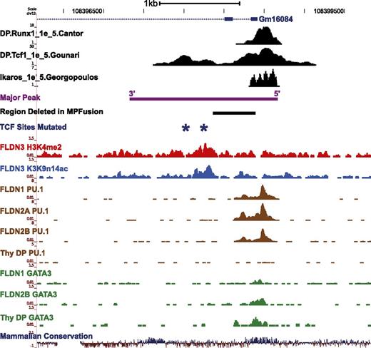 Figure 6. Transcription factor binding sites and histone modifications on the Major Peak. The binding profiles of Runx1, TCF-1, Ikaros, PU.1, and GATA-3 at the Major Peak region in T cells, measured by ChIP-seq, are shown.9,24,25,37 Also shown are the alignments of the full MP sequence and the 528-bp region between the two TCF-1 binding peaks, which was deleted from Major Peak to make the MPFusion construct. Dark blue stars mark the two central TCF-1 sites that were mutated in the dmTCF construct. The 3′ conserved region is also indicated. For coordinates, see supplemental Table 2.