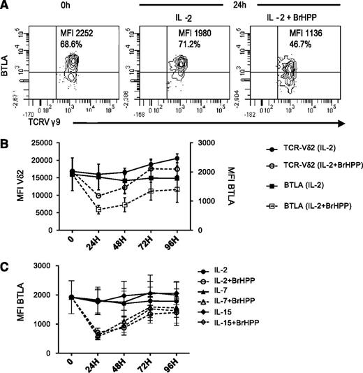 Figure 2. BTLA downregulation during activation course of Vγ9Vδ2 T cells. (A) Gating strategy showing a representative expression profile of BTLA expression before and after 24 hours in culture with 200 UI/mL IL-2±BrHPP (1 μM). (B) Kinetic analysis of the intensity of BTLA expression (squares, n = 10) and TCR expression (circles, n = 7) after stimulation by IL-2 alone (closed symbols) or in combination with 1 μM BrHPP. (C) Kinetic analysis of BTLA after stimulation by IL-2 (circles, 200 UI/mL), IL-7 (triangles, 25 ng/mL), or IL-15 (diamonds, 10 ng/mL) in the presence (open symbols) or absence (closed symbols) of BrHPP (1 μM) (n = 3). Data represent mean ± SEM of BTLA or TCR Vδ2 MFI.