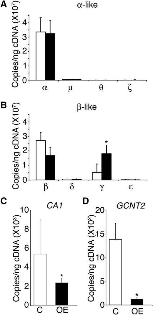 Figure 4. LIN28B expression regulates γ-globin and erythroid-related fetal genes in adult erythroblasts. (A) α, μ, θ, and ζ globins, (B) β, δ, γ, and ε globins, (C) CA1, and (D) GCNT2 mRNA expression analysis of LIN28B-OE compared with control samples. Open bars represent control and black bars represent LIN28B-OE. qRT-PCR analyses were performed at culture day 14. Mean value ± standard deviation of 3 independent donors for each condition. P values were calculated using two-tailed Student t test. C, empty vector control; OE, LIN28B overexpression. *P < .05.