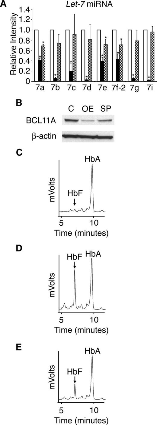 Figure 7. Retroviral suppression of the let-7 family of miRNAs regulates BCL11A and HbF. (A) Relative expression levels of the let-7 family of miRNAs (open bars represent control, black bars represent LIN28B-OE, and hatch-marked bars represent let-7 sponge) after transduction of the let-7 sponge or LIN28B-OE encoding retrovirus. The qRT-PCR analyses were performed at culture day 14, and compared with control transductions. The miRNAs relative expression levels (y-axis) in the control cells were defined as a level of one for comparison. Error bars denote ± standard deviation of 3 independent donors for each condition. (B) Western blot analyses with protein extracts from the empty vector control (C) versus LIN28B-OE (OE) and let-7 sponge (SP) cells. The membranes were probed with anti-BCL11A. Anti-β-actin probe was used as a loading control. HPLC analyses of hemoglobin from (C) control, (D) LIN28B-OE, and (E) let-7 sponge samples were performed at culture day 21. HbF and HbA peaks are labeled on each graph (y-axis: mVolts; x-axis: elution time in minutes). Data are representative of 3 independent experiments. P values were calculated using two-tailed Student t test. C, empty vector control; OE, LIN28B overexpression; SP, let-7 sponge. *P < .05.