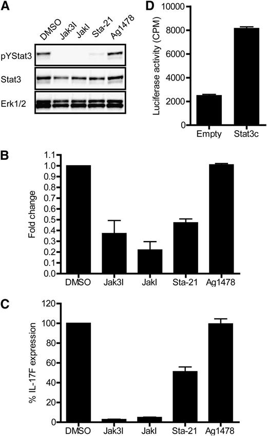 Figure 2. The Jak/Stat3 pathway promotes the expression of IL-17F in malignant T cells. (A) Malignant T cells (PB2B) were incubated with Jak inhibitors (Jak3 inhibitor II/WHI-P154, 40 µM; Jak inhibitor I/P6, 1 µM), an inhibitor against Stat3 (Sta-21, 40 µM), an inhibitor against the EGF receptor (Ag1478, 200 ng mL–1) or vehicle (dimethylsulfoxide) and the expression of phosphorylated Stat3 (pYStat3), total Stat3, and Erk 1/2 analyzed by western blotting. (B) Malignant T cells (PB2B) were cultured with inhibitors as described above for 4 hours. Subsequently, the cells were harvested and the relative levels of IL-17F and GAPDH mRNA determined by QPCR. In each sample, the level of IL-17F mRNA was normalized to that of GAPDH mRNA and depicted as the fold change compared with cells cultured with vehicle. (C) Malignant T cells (PB2B) were cultured for 24 hours with inhibitors as described above and the concentration of IL-17F in the cell culture supernatants determined by enzyme-linked immunosorbent assay. The expression of IL-17F is shown as the percent expression relative to cells treated with vehicle. (D) Jurkat T cells were cotransfected with a luciferase reporter plasmid containing the proximal human IL-17F promoter and a Renilla luciferase plasmid as well as either an empty pcDNA3.1 plasmid or a pcDNA3.1 plasmid encoding a constitutive active form of Stat3 (Stat3c). At 24 hours after transfection, the cells were lysed and the luciferase activities determined. The coexpressed Renilla luciferase activity was used for normalization of transfection efficiency. Bars represent mean + SEM.