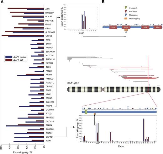 Figure 2. Differences of exon usage frequencies in genes that were identified. Exon skipping frequencies were based on RNAseq data, averaged and presented as bar graphs. (A) Bars in dark blue represent U2AF1 mutants; dark brown bars represent WT. The order of genes was determined using the average difference between U2AF1 mutant and WT exon skipping frequency. (B) Detailed frequency of exon skipping of all exons screened for PTBP1 (upper panel) and CEP164 (lower panel). Additional mutational information is depicted for both selected genes. CEP164 lower panel contains additional SNP karyotyping data depicting samples that had the CEP164 locus deleted (highlighted in red).