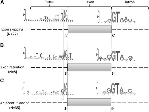 Figure 4. Frequencies of nucleotides surrounding 39 and 59 splice sites adjacent to exons affected by U2AF1 mutations. Exons that were more often skipped (A) or more often retained (B) in U2AF1 mutants were combined into 2 groups, and the splice site consensus sequences were derived. Adjacent splice sites were analyzed as a control set (C). Nucleotide frequencies are represented using WebLogo software. The height of each stack represents the information content of that position in bits. The height of each letter represents the frequency of occurrence of each nucleotide.