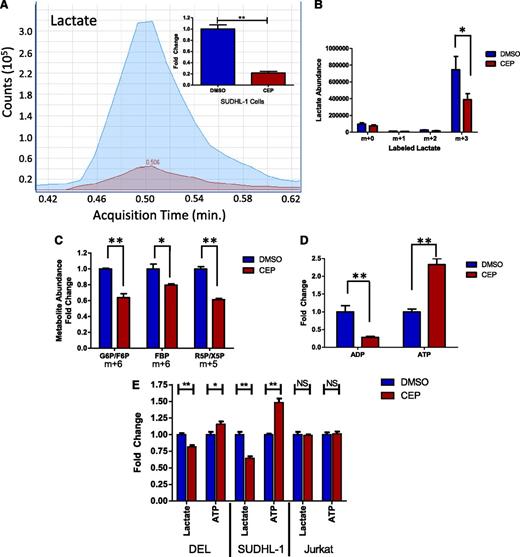 Figure 4. Metabolic flux analysis reveals NPM-ALK–driven shift toward biomass production. (A) Quantitation of lactate levels by metabolomic analysis. Representative spectra for DMSO- (blue) and CEP- (red) treated cells. The quantitation of lactate based on 4 replicates is shown in the inset. (B) Metabolic flux analysis of lactate in SU-DHL-1 cell following 300 nM CEP treatment. All species of labeled lactate are shown. m, mass. (C) Flux analysis for fully labeled glucose 6-phosphate/fructose 6-phosphate (G6P/F6P), fructose bisphosphate (FBP), and ribose 5-phosphate/xylose 5-phosphate (R5P/X5P) are shown in the presence of DMSO or ALK inhibitor. (D) Total pool abundance (all labeled and unlabeled species combined) for ADP and ATP in the presence of DMSO or ALK inhibitor. (E) Biochemical assays for lactate and ATP after 300 nM CEP for 6 hours. Data are normalized by cell number. Mean ± SD; *P < .05, **P < .01.