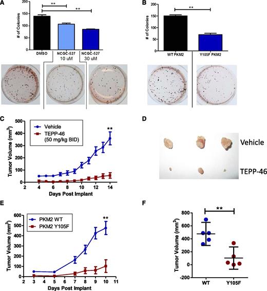Figure 7. PKM2 regulates ALCL tumorigenesis. Methylcellulose colony formation assay using (A) DEL cells treated with 10 and 30 μM NCGC-527 and (B) DEL cells stably expressing Flag-PKM2 WT and Y105F. Samples analyzed in triplicate, with a representative image shown below each bar. Data are mean ± SD. (C) Tumor volumes of DEL xenograft tumors treated with vehicle (0.5% methylcellulose + 0.1% Tween 80) or TEPP-46 (50 mg/kg) twice a day by oral dose from day of tumor implantation (mean ± SEM) (n = 7). (D) Representative images of tumors at day 14. (E) Tumor volumes of xenografted DEL cells stably expressing WT or Y105F-PKM2 (mean ± SEM; n = 5). (F) Scatterplot of day 10 tumor volumes. Data are mean ± 95% confidence interval; *P < .05, **P < .01.