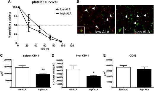 Figure 3. Platelet clearance in spleen and liver is reduced after a high-ALA diet. Platelet half-life was increased in the high-ALA compared with the low-ALA group (A; n = 6; P = .07). Liver cryosections were stained for the platelet marker CD41 (red) and the macrophage marker CD68 (green); images were taken with an Olympus microscope (B; magnification 20×; scale bar 100 μm). Colocalization is shown by a merge of the 2 fluorescent signals (yellow, arrows). Spleen and liver cryosections were also analyzed for the platelet marker CD41 (green); the positive area quantified with the software AnalySIS 3.1 (Soft Image Solutions) and was found to be significantly reduced in the high-ALA mice in both organs (C-D; n = 3; *P = .03; **P = .005). Macrophage number in the spleen and liver was not affected by the ALA treatment as shown by quantification of the CD68-positive area (E; n = 3; P > .05).