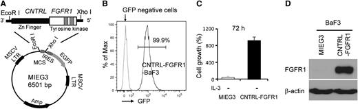 Figure 1. The CNTRL-FGFR1 fusion kinase induces BaF3 cell transformation. (A) Scheme for construction of the MIEG3-CNTRL-FGFR1. (B) Flow cytometry analysis shows that almost all BaF3 cells transformed by CNTRL-FGFR1 are viable and express GFP after withdrawal of IL-3. (C) Cell proliferation assays demonstrate increased IL-3–independent growth of CNTRL-FGFR1-BaF3 cells. (D) Western blot analysis shows the presence of the CNTRL-FGFR1 fusion protein in stably transformed BaF3 cells.
