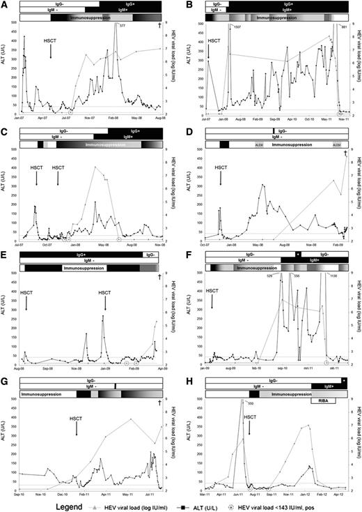 Figure 2. Courses of hepatitis E infection in all 8 individual patients. (A) HEV RNA persisted, although HEV-IgM and HEV-IgG seroconversion occurred under immunosuppressive therapy. This patient died of therapy refractory progressive gastrointestinal GVHD with concurrent chronic HEV infection. (B) Acute ALT abnormalities arose during HEV infection. This patient was mistakenly diagnosed as hepatic GVHD, and immunosuppression was intensified multiple times because of persisting liver enzyme abnormalities. This patient cleared HEV with stopping all immunosuppression, after the diagnosis of HEV infection in this study. (C) This patient developed primary graft failure of a 8/8 human leucocyte antigen (HLA)-matched unrelated donor graft after reduced-intensity conditioning with rabbit antithymocyte globulin, fludarabine, and a single donor fraction of 2 gray total body irradiation. HEV RNA was present after second alloHSCT. This patient cleared infection after HEV-IgM and HEV-IgG seroconversion, supported by reduction of immunosuppressive therapy. (D) This patient developed graft failure of a 7/8 HLA-matched unrelated donor graft after reduced-intensity conditioning with rabbit antithymocyte globulin, fludarabine, and a single fraction of 2 gray total body irradiation. Patient’s disease relapsed 3 months after graft failure. Reinduction therapy was started with alemtuzumab (ALEM), and a second alloHSCT was prepared. However, because of recurrent infections, this patient was not able to complete treatment. Patient died shortly after his second cycle of alemtuzumab because of complications of meningitis and secondary sepsis with E coli. Of note, patient’s CSF samples tested positive for HEV. (E) Secondary graft failure occurred 3 months after the first alloHSCT. The second alloHSCT was complicated by multiple respiratory viral and bacterial infections, which eventually led to respiratory failure and death. (F) This patient was diagnosed as hepatic GVHD, and immunosuppression was introduced in August 2010. Patient cleared HEV after cessation of all immunosuppression, following the diagnosis of HEV infection. (G) HEV RNA was detectable at time of alloHSCT, and viral load increased under immunosuppressive therapy until patient died because of a respiratory viral infection. This patient showed HEV-IgM in 1 sample (black bar) and no HEV-IgG seroconversion. (H) HEV reactivation occurred after initial undetectable HEV RNA without seroconversion. After reduction of immunosuppressive therapy and addition of ribavirin (RIBA), the patient seroconverted and cleared HEV. The ALT upper limit of normal is 33 U/L and 44 U/L for females and males, respectively. The HEV RNA lower limit of detection is 143 (2.16 log) IU/mL.