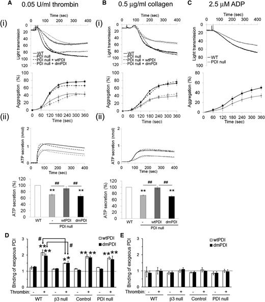 Figure 2. Aggregation and ATP secretion of WT and PDI-null platelets and the rescue effect of recombinant PDI. Platelets isolated from WT (black line) and PDI CKO (gray line) mice were stimulated with 0.05 U/mL thrombin (A), 0.5 μg/mL collagen (B), and 2.5 μM ADP (C). (i) Platelet aggregation and quantitative graphs. (ii) ATP secretion. In some experiments, PDI-null platelets were pretreated with 50 μg/mL wtPDI (black dotted line) or dmPDI (gray dotted line) and activated with an agonist. Quantitative results of aggregation and ATP secretion are presented as mean ± SD (n = 4). **P < .01 vs WT platelets after ANOVA and Dunnett test; ##P < .01 vs PDI-null platelets treated with wtPDI after Student t test. (D,E) Mouse platelets were pretreated with His-tagged wtPDI or dmPDI and activated with or without thrombin in the presence of 1 mM EGTA under a stirring condition. Platelets were washed with HEPES-Tyrode buffer (D) or carbonate buffer (0.1 M Na2CO3, pH 9.0) (E). Binding of recombinant PDI was analyzed by flow cytometry using a Dylight 488–conjugated anti-polyHis antibody. PDI binding is shown as a fold increase by the ratio of the geometric mean intensity value of the anti-His antibody on PDI-treated vs untreated platelets (mean ± SD, n = 3). *P < .05; **P < .01 vs resting platelets; and #P < .05 vs activated WT platelets treated with wtPDI or dmPDI after Student t test.