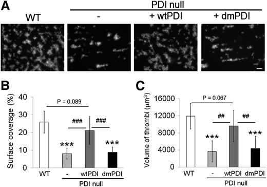 Figure 5. Platelet PDI is important for thrombus formation on collagen-coated surfaces under arteriolar shear. Blood drawn from WT and PDI CKO mice was perfused over collagen-coated surfaces at a wall shear rate of 1000 s−1 for 1 minute. In some experiments, wtPDI or dmPDI was added to blood drawn from PDI CKO mice and then blood was perfused through the chamber. Adherent thrombi were stained with rhodamine-conjugated phalloidin and analyzed as described in “Materials and methods.” (A) Representative images. Bar = 10 μm. (B,C) Surface coverage and thrombus volume were measured and presented as mean ± SD (n = 4). ***P < .001 vs WT platelets after ANOVA and Dunnett test; ##P < .01; and ###P < .001 vs PDI-null platelets treated with wtPDI after Student t test.