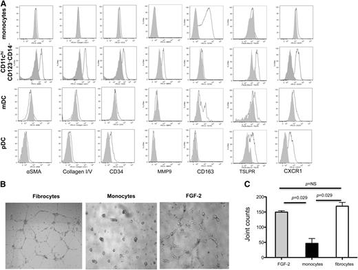 Figure 2. Expanded CD11chiCD123–CD14– cells are fibrocytes that mediate angiogenesis. (A) Using the same gating strategy as shown in Figure 1A, CD11chiCD123–CD14– cells from a representative subject sample were analyzed for cell surface phenotype. The shaded areas represent background fluorescence on the designated population as indicated by FMO controls. This is representative of more than 10 experiments. (B) Comparison of tube formation by both electronically sorted CD11chiCD123–CD14– cells (designated fibrocytes) and CD14+ monocytes from 1 representative cancer subject, which were then plated in an angiogenesis assay. HUVEC cultures in FGF-2 were used as a positive control. This is representative of 5 experiments. (C) Mean ± SEM joint counts formed by HUVEC cocultured with FGF-2, monocytes vs fibrocytes in 5 separate tube formation assays using fibrocytes, and monocytes from 5 separate subjects.