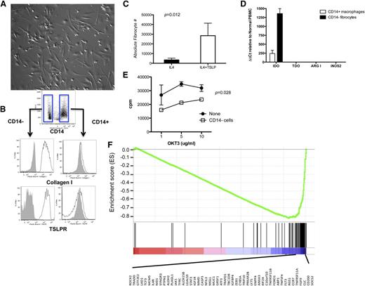 Figure 5. IL-4 induces monocytes to differentiate into CD14– fibrocytes that are readily distinguished from CD14+ macrophages in the same culture. (A) Culture of monocyte-rich apheresis fractions from healthy donors with rhIL-4 induces differentiation into an adherent population that contains cells with a typical spindlelike appearance, consistent with a fibrocyte lineage (original magnification ×20). (B) Cell surface phenotype of IL-4–differentiated adherent cells identifies 2 subsets based on CD14 expression, which further shows differential expression of collagen and TSLPR. FMO controls on gated CD14+ vs CD14– populations are shown by shaded gray histograms. This is representative of more than 5 experiments from 5 separate healthy donors. (C) Fibrocyte (defined as CD14–CD123–CD11c+) numbers in monocyte cultures incubated for 9 days with rhIL-4 alone (10 ng/mL) vs rhIL-4 plus TSLP (10 ng/mL). This is representative of 4 separate experiments. (D) CD14+ macrophages vs CD14– fibrocytes generated using rhIL-4 as described in (C) were analyzed by reverse transcriptase PCR for IDO, TDO, ARG1, and INOS2. The mean ± SEM of relative increases normalized to PBMC are shown from 5 separate experiments. (E) RhIL4-induced fibrocytes suppress autologous T-cell proliferation to various concentrations of anti-CD3. Comparisons between 2 groups (with T-cell-alone group) were done using a 2-way analysis of variance for multiple comparisons, with significance determined as P < .05. This is representative of 3 experiments. (F) Using RNA expression profiles of cells generated and electronically sorted as described in (C), gene set enrichment analysis of CD14+ macrophages vs CD14– fibrocytes for the Lindstedt DC maturation C gene set is shown. The most underexpressed of 49 genes in CD14– fibrocytes vs the CD14+ macrophages is listed below the figure. This is representative of 3 separate expression profile-based analyses.