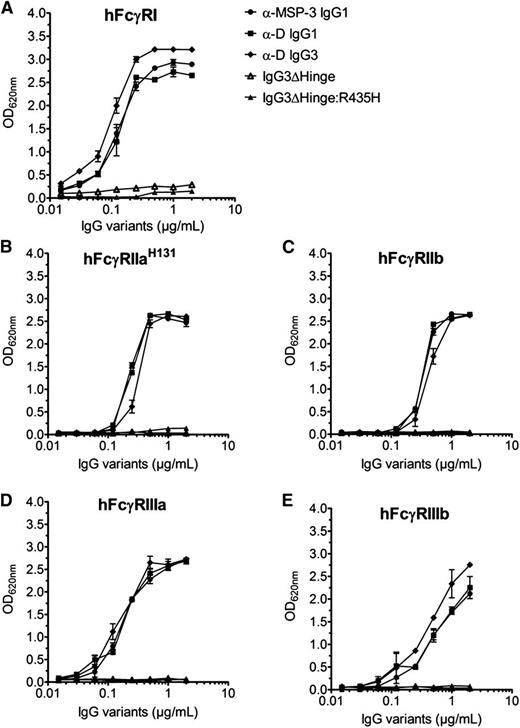 Figure 2. Binding of wild-type and engineered IgGs to classical human FcγRs. ELISA screening showing binding of titrated amounts of wild-type IgG1, IgG3, and engineered IgG3 variants to (A) hFcγRI, (B) hFcγRIIaH131, (C) hFcγRIIb, (D) hFcγRIIIa, and (E) hFcγRIIIb. The hinge-deleted antibodies IgG3ΔHinge and IgG3ΔHinge:R435H do not bind to any of the receptors; n = 3. All data are presented as mean ± SD.
