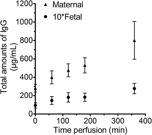 Figure 6. Quantification of the total IgG concentrations in placental perfusions. Total antibody concentration in maternal circulation and 10 times total antibody concentration in fetal circulation. Medium fractions were collected from the fetal and maternal side. Measurement of the concentration of antibody was done with an ELISA for IgG. Values shown are the averages of 16 experiments.