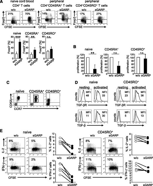Figure 1. sGARP enhances Foxp3 expression and represses proliferation and cytokine production in CD4+ effector T cells. (A) sGARP increases Foxp3 expression. CFSE-labeled T cells were stimulated with anti-CD3 (0.5 µg/mL) and anti-CD28 mAb (1 µg/mL) in the presence of sGARP (1 µg/mL). Foxp3 expression was analyzed on day 3 by flow cytometry. Dot blots show one representative result for each T-cell subset (upper part). Diagrams (lower part) display summarized data of 7 independent experiments. Data represent the mean ± SEM of experiments (n = 7, **P < .01, ***P < .001; n.s., not significant). (B) sGARP inhibits proliferation. Each T-cell subset was stimulated under the same conditions described in (A) in the presence or absence of sGARP (1 µg/mL). Proliferation was analyzed on day 12 by 3H-TdR incorporation. Bar diagrams show pooled data of 3 independent experiments (percentage of proliferation) in the presence of sGARP normalized to proliferation of cells without sGARP (n = 3, mean ± SEM, **P < .01; n.s., not significant). (C) Each T-cell subset was analyzed for CD62L and CCR7 expression by flow cytometry as described. Peripheral CD4+CD45RA+ T cells displayed a mixed population of CD62Lhigh and CD62Llow cells (gray represents isotype control). Dot blot shows one representative out of 8 experiments (n = 8). (D) TGF-βR and membrane-bound TGF-β (TGF-β) expression on resting and activated (16 hour) naïve CD4+ T cells and CD4+CD45RO+ T cells. Histograms show one representative experiment of 4 independent experiments. Numbers indicate mean fluorescence intensities (MFI) of TGF-βR (naïve resting: 51.9 ± 19, activated: 34.5 ± 6; CD4+CD45RO+ resting: 22.1 ± 5, activated: 27.8 ± 14) or TGF-β (naïve resting: 15.2 ± 9, activated: 27.0 ± 4; CD4+CD45RO+ resting: 5.13 ± 0.5, activated: 13.3 ± 7) expression are indicated. (E) CFSE-labeled naïve CD4+ T cells and CD4+CD45RO+ T cells were stimulated with anti-CD3 and anti-CD28 mAb in the presence or absence of sGARP (1 µg/mL). Cytokines were analyzed on day 10 upon restimulation. Dot blots show one representative result of 5. Diagrams show summarized data of 5 independent experiments.