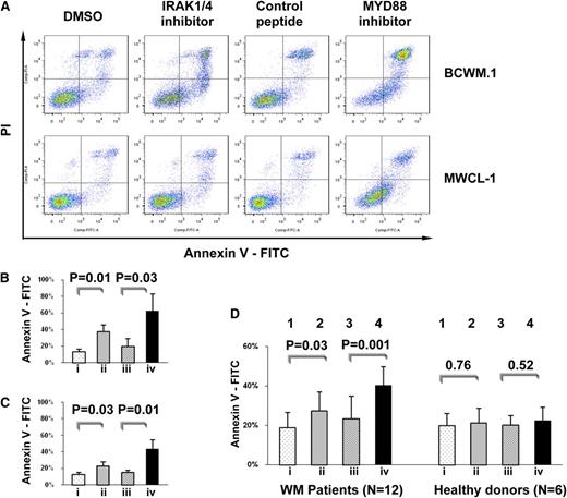Figure 2. Inhibition of MYD88/IRAK signaling induces apoptosis of MYD88 L265P-expressing WM cells. (A) Survival assessed by annexin V/PI staining for MYD88 L265P-expressing WM cell lines. (B-D) Statistical analysis for annexin V–positive cells following treatment with (lane i) DMSO, (lane ii) an IRAK 1 and 4 kinase inhibitor, (lane iii) a control peptide, or (lane iv) peptide inhibitor of MYD88 homodimerization with results of 3 repeat experiments for (B) BCWM.1 and (C) MWCL-1 cells and (D) MYD88 L265P-genotyped primary WM patient LPL cells and MYD88 WT healthy donor B cells depicted. P value and numbers of patients are shown as labeled. DMSO, dimethyl sulfoxide.