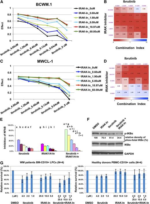 Figure 7. Dual inhibition of BTK and IRAK leads to synergistic killing in MYD88 L265P-expressing WM cells, and more robust suppression of NF-κB pathway activity. (A,C) BCWM.1 and MWCL-1 cells were treated with an inhibitor of BTK (ibrutinib; PCI 32765), IRAK 1 and 4, or both. Cell death was assessed by high-throughput CellTiter-Glo Luminescent cell viability assay. (B,D) Synergism was assessed by CI analysis, with the heat maps depicting the CI values at varying dosimetry for ibrutinib and the IRAK 1 and 4 kinase inhibitor. CI, combination index. (E) For these experiments, CI values <1 denote synergistic interactions. p65-NF-κB activity was assessed by a luciferase promoter assay at 6 hours in BCWM.1 cells. The doses were used as follows: ibrutinib (lane a, 5.000; lane b, 1.580; lane c, 0.500; lane d, 0.158; lane e, 0.050; lane f, 0.016 µM) and IRAK1/4 kinase inhibitor (lane g, 20.000; lane h, 6.325; lane i, 2.000; lane j, 0.633; lane k, 0.200; lane l, 0.063 µM). Experiments were performed in triplicate. A representative experimental set is shown. (F) The inhibition of NF-κB activity was also assessed by examination of phospho-IkBα following treatment with ibrutinib, IRAK 1 and 4 kinase inhibitor, or both using western blot analysis in BCWM.1 cells. (G) Primary BMMCs from 4 WM patients genotyped for MYD88 L265P patients, and PBMCs from 4 healthy donors genotyped for MYD88 WT were cultured with ibrutinib (4.0, 2.0, 1.0 μM) or IRAK 1 and 4 inhibitor (20.0, 10.0, 5.0 μM) or in combination for 24 hours. Cell apoptosis was assessed in CD19+-expressing cells following annexin V staining.