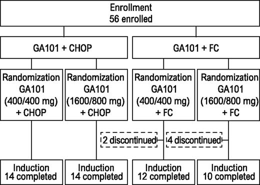Figure 1. Patient disposition. GA101, obinutuzumab.