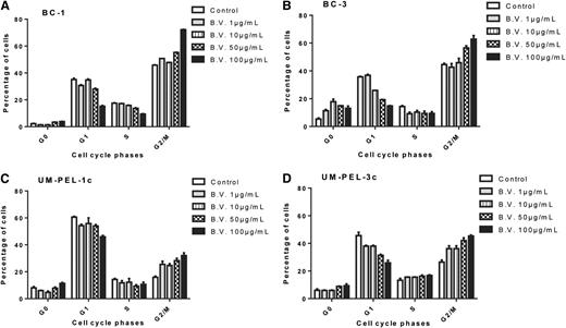 Figure 4. Brentuximab vedotin induces G2/M cell cycle arrest of PEL cells. PEL cell lines BC-1 (A), BC-3 (B), UM-PEL-1c (C), and UM-PEL-3c (D) were treated with brentuximab vedotin (B.V.) at increasing concentrations. At 24 hours after treatment, cells were stained with propidium iodide to measure DNA content and analyzed by flow cytometry for cell cycle distribution. Bar graphs indicate the percentage of cells in different phases of cell cycle (G0, G1, S, G2/M). Experiments depicted in panels A-D were repeated thrice independently in triplicate. The representative data from one experiment are shown. Error bars correspond to standard error of the mean in all graphs.