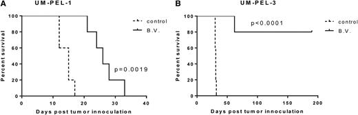 Figure 7. Brentuximab vedotin extends the survival of PEL xenograft mice. Kaplan-Meier survival curves of PEL xenograft mice. NOD/SCID mice (n = 5/group) were injected with 25 × 106 UM-PEL-1 (A) and UM-PEL-3 (B) cells. At 3 days postinjection, mice were treated for 3 weeks with interperitoneal injections of brentuximab vedotin (B.V.), PBS, or isotype-matched irrelevant Ig-vcMMAE. Only one control group is shown, because mice in both groups exhibited identical Kaplan-Meirer survival curves. Results are representative of 2 independent experiments.