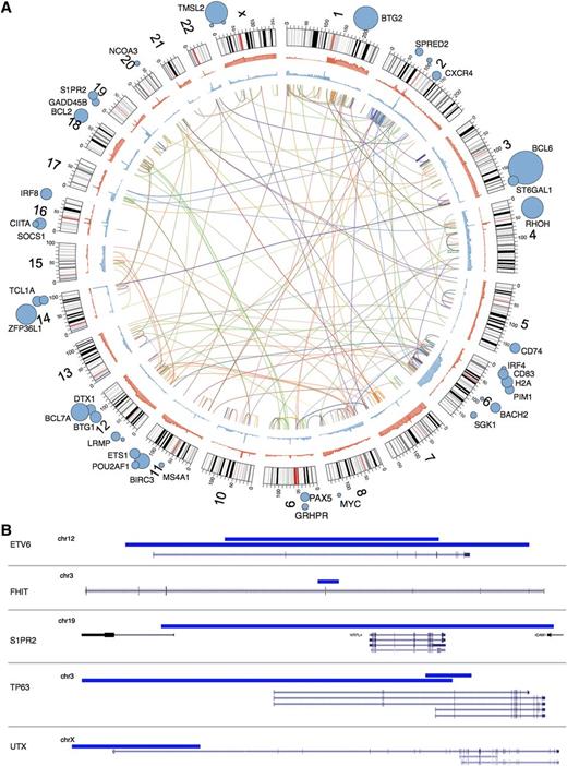 Figure 3. Overview of rearrangements, CNAs, SNVs, SHM and focal deletions detected. (A) Inner arcs represent somatic rearrangements from each of the patient genomes, with a different color depicting each case. Cumulative summaries of all the somatic CNAs detected across all 96 cases are depicted in blue (deleted regions) and red (amplified regions). SHM targets identified from these genomes22 are indicated with blue circles with diameter proportional to the number of mutated cases. (B) Small deletions are often not detectable by copy number analysis methods. Our de novo assembly-based pipeline identified breakpoints representing small deletions (indicated by blue bars), some of which affected a single gene. Two cases were found to have such deletions affecting ETV6. Of note, a fusion involving ETV6 and the immunoglobulin heavy chain locus was observed in a separate case. Deletions affecting other genes likely to be relevant to DLBCL are also shown. FHIT, with a focal deletion shown here, was also a common target of larger deletions by CNA analysis. S1PR2 was also a significant target of somatic point mutations and functionally cooperates with proteins encoded by GNA13 and GNAI2 (“Discussion”). The 2 deletions affecting TP63 in a single case are also shown (see supplemental Figure 12). The upper 3 transcripts represent TA isoforms, whereas the lower 2 correspond to Δ N isoforms. UTX is a histone demethylase that acts on H3K27, the same lysine targeted by EZH2, which is a target of activating mutations in NHL. A recently described small molecule inhibitor of EZH2 activity showed efficacy in DLBCL cell lines with UTX mutations.31