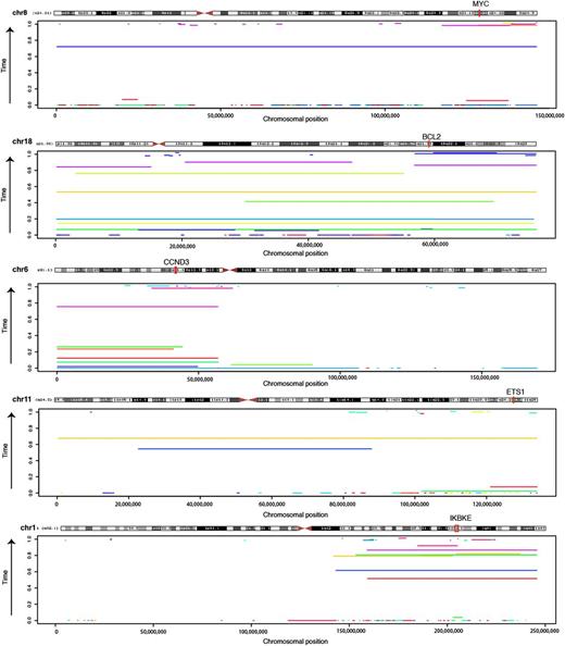 Figure 5. Timing of chromosomal duplications in DLBCL evolution. The sequence data can be used to approximate the relative time in which individual large amplifications/gains occurred during the evolution of the tumor. Here, the timing estimate for amplifications detected in each genome is shown for 5 chromosomes commonly affected by such events. The genomic coordinates amplifications are shown on the x-axis, with separate colors indicating events detected in different individuals. The y-axis shows the time at which the event was estimated to occur, with events near the bottom arising earlier in tumor development and those near the top arising later. Only events for which we could precisely calculate timing were included (confidence interval range < 0.2). Samples involving approximated REL amplifications are shown separately (supplemental Figure 17). Despite arising later in some cases, gains of 18 were nonetheless one of the earliest of all amplification events detected (supplemental Figure 18). The genes targeted by amplifications of 11q and 1q have not been conclusively identified. The position of ETS1 is indicated because it also a significant target of somatic point mutations in our data, and thus a potential novel oncogene. The region of overlap between the regions gained on 1q contains a small number of genes including IKBKE, which encodes IkappaB kinase ε, a positive regulator of RELA.38 Among the 96 DLBCL cases analyzed for CNAs, IKBKE expression was significantly higher in amplified cases (P = .00745, Wilcoxon Rank Sum test).