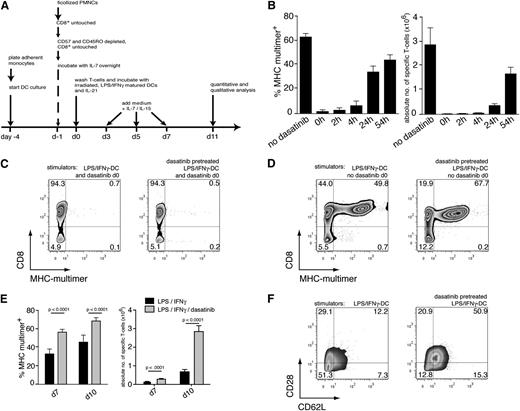 Figure 1. Differential effects of dasatinib on T cells and DCs. (A) A robust in vitro priming system for assessment of dasatinib-mediated effects. The protocol has been validated previously22 and is described in the “Methods” section. (B) The direct effects of dasatinib were assessed by adding a single dose of dasatinib (50 nM) at various time points after the initial coincubation of T cells and DCs. On day 10, individual wells were evaluated for MHC-multimer+ CD8+ T cells (left); this fraction was multiplied by the total number of cells per well to obtain the absolute number of antigen-specific T cells per well (right; 7 parallel wells per group, bars represent the mean with standard deviation). (C) T-cell priming with dasatinib-treated (50 nM) DCs (day −1) and addition of dasatinib (50 nM) at the time of priming resulted in complete blockade of antigen-specific T-cell proliferation. (D) T-cell priming with dasatinib-treated (50 nM) DCs (day −1), without addition to the T-cell culture, increased the percentage of MHC-multimer+ cells compared with matured DCs without dasatinib pretreatment. Before coincubation with T cells, the DCs were extensively washed to remove residual dasatinib. (E) Comparison of dasatinib-treated DCs and DCs matured with LPS/IFNγ only. Differences in the percentage of MHC-multimer+ cells and the absolute yield of antigen-specific T cells were highly significant (Student t test) on days 7 and 10 of culture (evaluation of 7 parallel wells, technical replicates). (F) Primed T cells (gated on viable CD8+ MHC-multimer+ cells) expressed higher levels of CD28 and CD62L on day 10 of culture, when naïve T cells had been primed with dasatinib-pretreated DCs as opposed to DC matured without dasatinib. Each of the results is representative of at least 3 separate experiments.