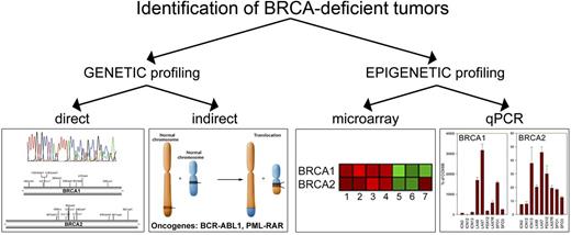 Figure 7. Genetic and epigenetic profiling as search engines to select BRCA-deficient tumors sensitive to synthetic lethality by targeting RAD52. Genetic profiling will identify patients with tumors harboring BRCA1/2 mutations or expressing oncogenes (such as BCR-ABL1 and PML-RAR) that directly or indirectly cause genetic BRCA deficiency. Gene expression profiling by microarray analysis or qPCR should select individual patients with tumors displaying epigenetic BRCA-deficient phenotype.