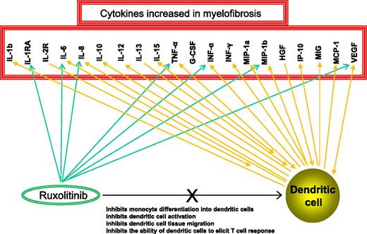 Cytokines that are aberrantly expressed in MF are known to be developmentally required or secreted by DCs and also targeted by ruxolitinib. G-CSF, granulocyte colony-stimulating factor; HGF, hepatocyte growth factor; INF, interferon; IP-10, interferon-inducible protein 10; MCP-1, monocyte chemoattractant protein 1; MIG, monokine induced by interferon-gamma; MIP-1a, macrophage inflammatory protein 1a; VEGF, vascular endothelial growth factor.