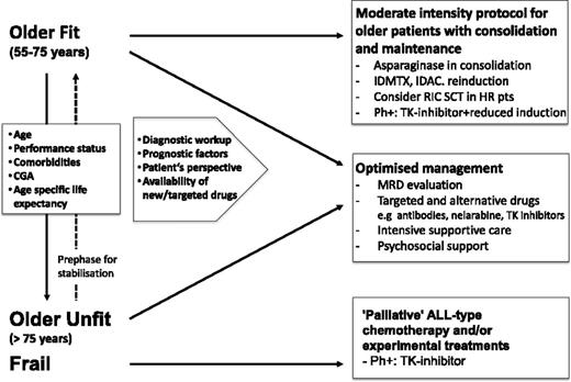 Figure 1. Comprehensive approach to managing older patients with ALL. HR, high risk; pts, patients; TK, tyrosine kinase; IDMTX, intermediate dose methotrexate; IDAC, intermediate dose cytarabine.