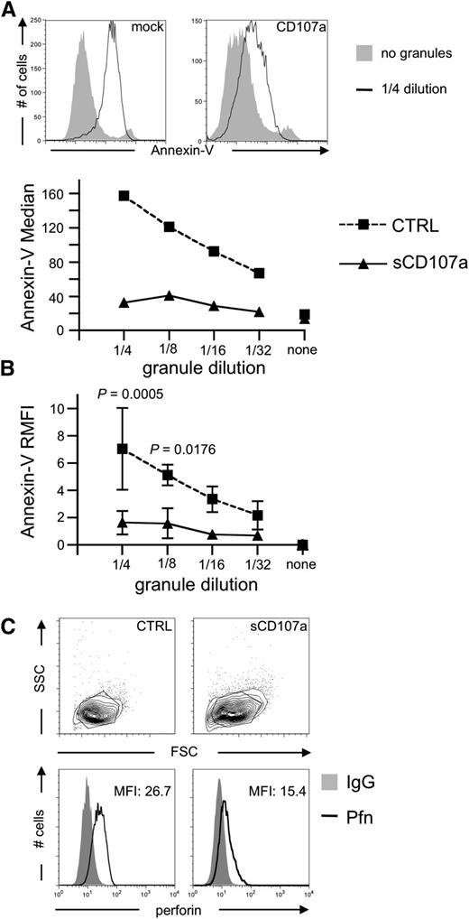 Figure 3. CD107a-expressing target cells are less sensitive to Pfn-mediated apoptosis induction. (A) HeLa cells were coincubated with sonicated CGs purified from YTS cells. After 4 hours, cells were stained with Annexin-V to assess apoptotic cells. Top: Annexin-V staining of the indicated cells with or without granules. Bottom: Median Annexin-V fluorescence intensities at different granule dilutions. (B) Relative median fluorescence of 3 independent experiments as depicted in (A). Statistical analysis was performed using 2-way ANOVA; n = 6. (C) Representative surface staining of Pfn on the indicated HeLa cells after 4 hours of coincubation with sonicated CGs; n = 8.