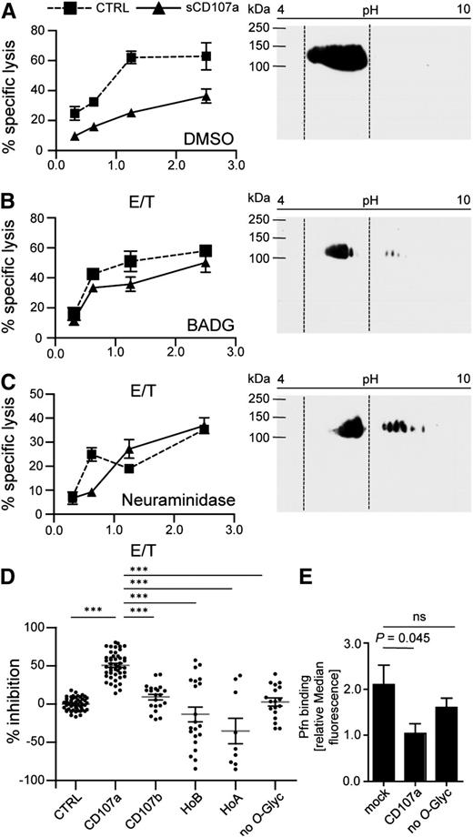 Figure 4. O-linked glycosylation of CD107a is necessary for reduced killing of surface CD107a-expressing cells. sCD107a (triangle) or control (squares) expressing 721.221 cells were incubated for 48 hours in the presence of DMSO (A) or BADG (B), or for 2 hours with NA (C). Left panels: Cells were used in a 4-hour 51Cr release assay with IL-2–activated human NK cells at different E/T ratios. Values represent triplicates ± SD. Right panels: Cells were lysed and analyzed by 2-dimensional anti-CD107a Western blotting analysis. Dotted lines indicate localization of CD107a in DMSO-treated control samples; n = 3. (D) IL-2–activated human NK cells were incubated with HeLa cells stably expressing the indicated sCD107a mutants. Specific lysis was assessed by 4-hour 51Cr release assay. Percentage of inhibition was calculated as stated in Materials and methods. Shown is the mean ± SEM. Each dot represents a single value of triplicates from 4 to 13 experiments of an E/T of 10/1. Significances were analyzed using 1-way ANOVA (P < .0001) followed by Bonferroni’s multiple comparison; ***P < .001. (E) Statistics for Pfn binding ± SEM as analyzed in Figure 3C. Statistical analysis was performed by 1-way ANOVA; n = 8. ns, not significant.