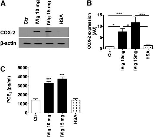 Figure 3. IVIg induces COX-2 and PGE2 in DCs. (A) DCs were cultured in GM-CSF and IL-4 alone (Ctr) or with IVIg (10 mg or 15 mg) or HSA for 24 hours. Expression of COX-2 in DCs was analyzed by western blot. Representative blot of 7 independent experiments is shown. (B) The fold changes in COX-2 expression based on densitometry analysis of western blots (mean ± SEM, n = 7). AU, arbitrary units. (C) The level (mean ± SEM, n = 7) of production of PGE2 (pg/mL) by DCs under the experimental conditions as explained above, * P < .05; ***P < .001.