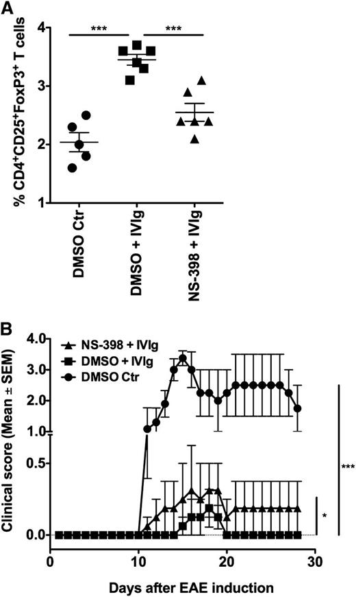 Figure 5. Inhibition of COX-2 prevents IVIg-mediated Treg expansion and protection in vivo in EAE model. EAE was induced in 10-week-old female C57BL/6J mice in 3 different groups. The first group received DMSO (solvent control for NS-398) on every alternative day until peak of the disease (day 16). The second group received IVIg (16 mg/mouse) every day and DMSO on every alternative day until day 16. The third group received IVIg every day and NS-398 (100 μg/mouse) on every alternative day until peak of the disease. (A) Mice were sacrificed on the day of onset of clinical signs (day 12) and splenic Tregs (CD4+CD25+FoxP3+) were analyzed by flow cytometry, ***P < .001. (B) Repercussion of COX-2 inhibition in vivo on IVIg-mediated protection from EAE. The development of clinical signs in all the 3 groups of mice was followed until day 28 following induction of EAE, *P < .05; ***P < .001.