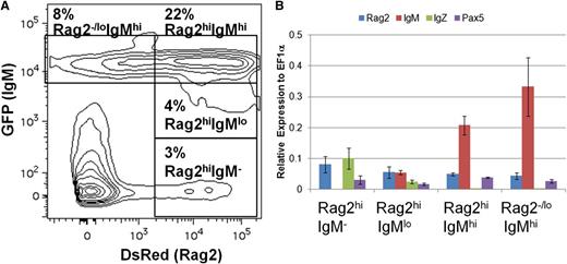 Figure 3. B-cell ontogeny in IgM1:eGFP fish. (A) Kidneys were isolated from adult rag2:DsRed;IgM1:eGFP fish and analyzed by flow cytometry. The GFP/DsRed profile of cells in the combined lymphocyte and precursor gates is shown. The indicated populations were sorted from the fish and analyzed by qRT-PCR. (B) Average expression plus SD of rag2, IgM, IgZ, or pax5 relative to ef1α (ΔCt) for the indicated cell populations from 3 individual fish is shown.