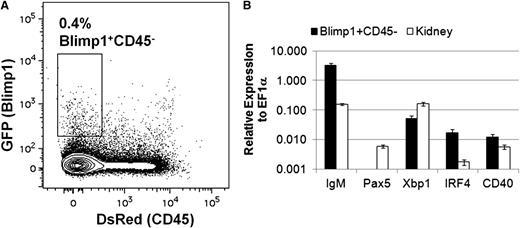 Figure 6. Isolation and analysis of plasma B cells in zebrafish. (A) Kidneys were isolated from adult cd45:DsRed;blimp1:eGFP fish and analyzed by flow cytometry. The GFP/DsRed profile of cells in the combined lymphocyte and precursor fractions is shown. The indicated population of cells was sorted from individual fish and analyzed by qRT-PCR. (B) Average expression (plus range) of IgM, pax5, irf4, xbp1, or cd40 relative to ef1α (ΔCt) for cells from the Blimp1+CD45− fraction from two individual fish using whole-kidney cDNA as a comparison. These results are representative of 3 independent experiments.